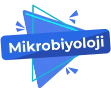 Mikrobiyoloji #2 - 2
