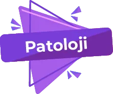 Patoloji #2